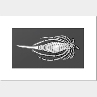 Eurypterid Posters and Art